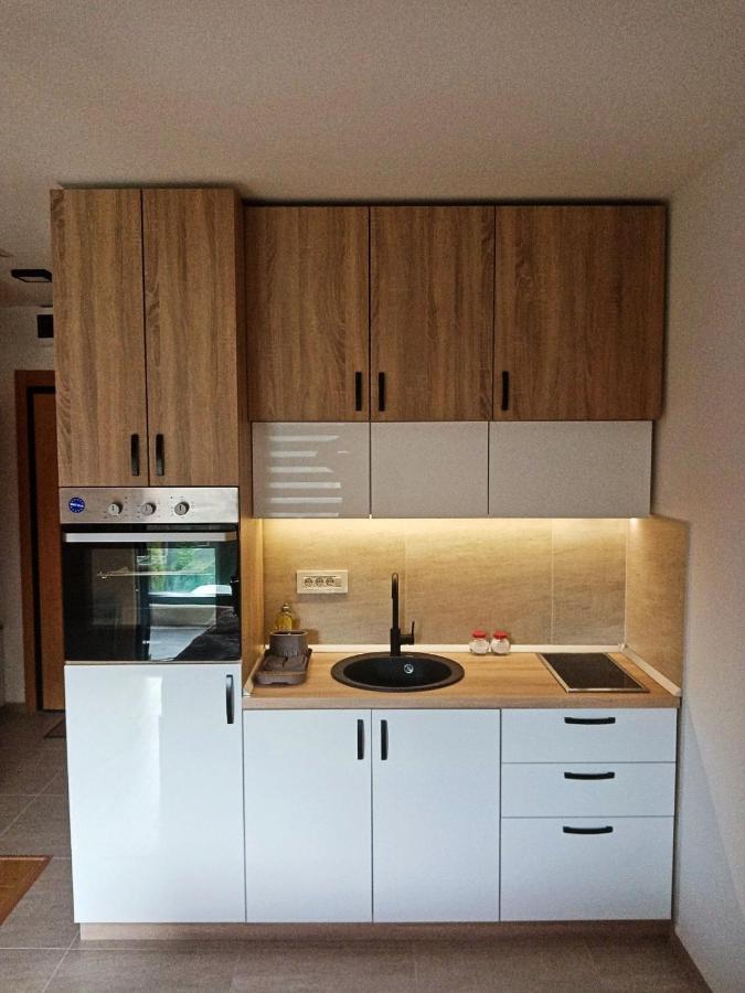 Studio Apartman Gorski Kristal Zlatibor Exterior photo